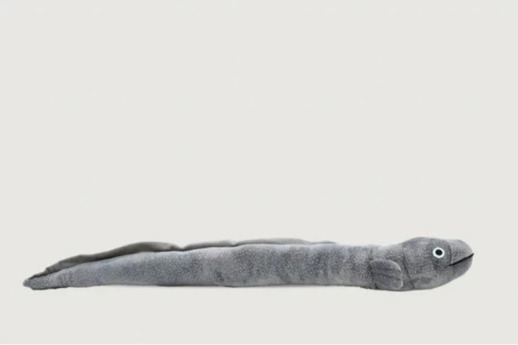 Long Finned Eel plush 40cm long