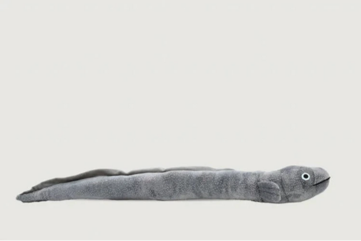 Long Finned Eel plush 40cm long