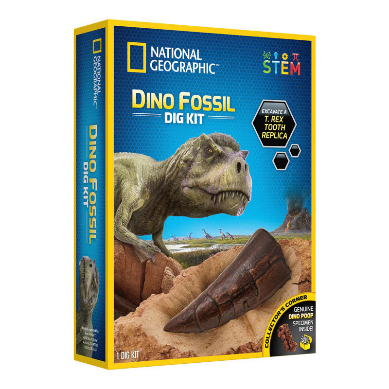 dinosaur
dinosaur fossil
dig kit