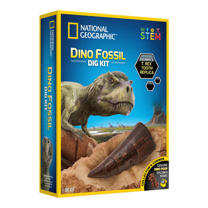 dinosaur
dinosaur fossil
dig kit