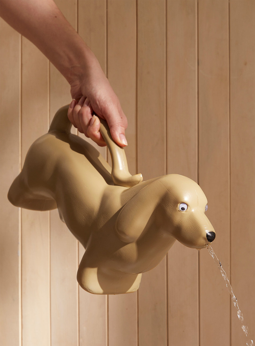 Dachshund  watering can with water flowing, held by a hand against a wooden background