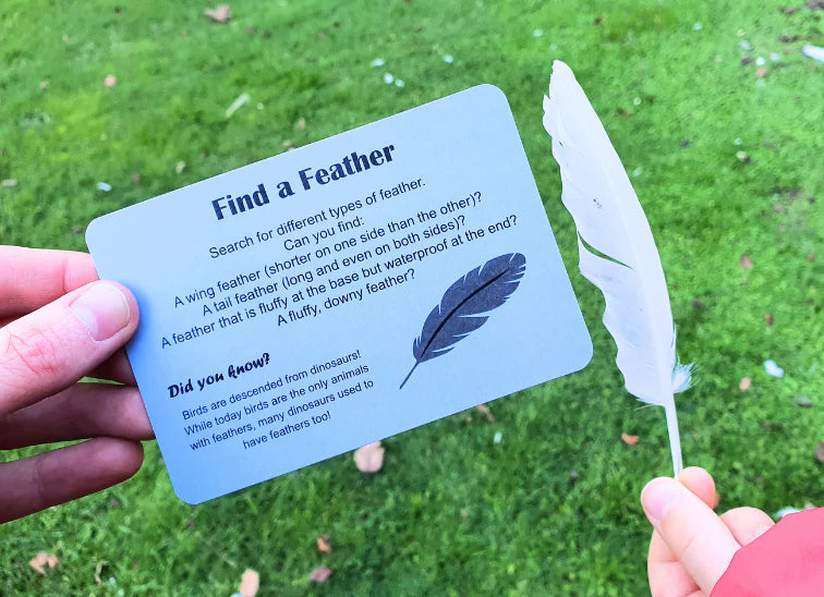Kiwi Garden Treasure Hunt Fun Card game