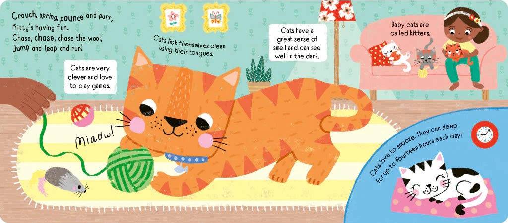 I love pets poptastic pop up book