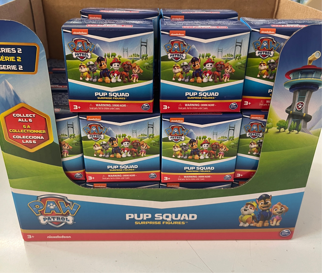 Pup squad paw patrol surprise figures