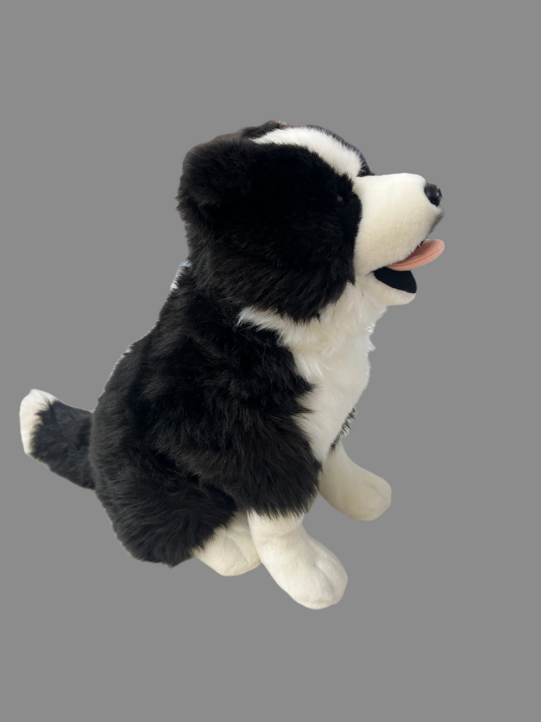 Antics Mac Border Collie sitting 32cm