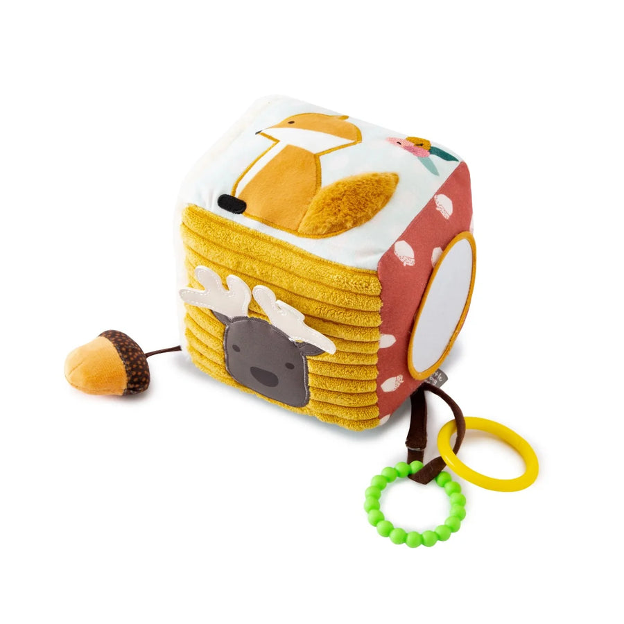Activity Cube Forest - Little Big Friends