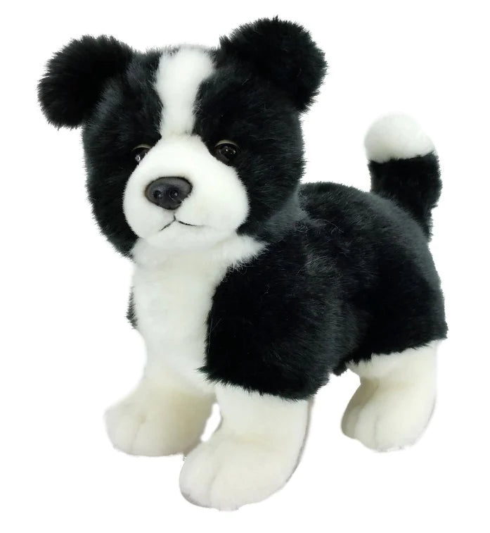 Antics Mac Border Collie - Standing