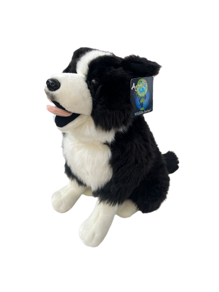 Antics Mac Border Collie sitting