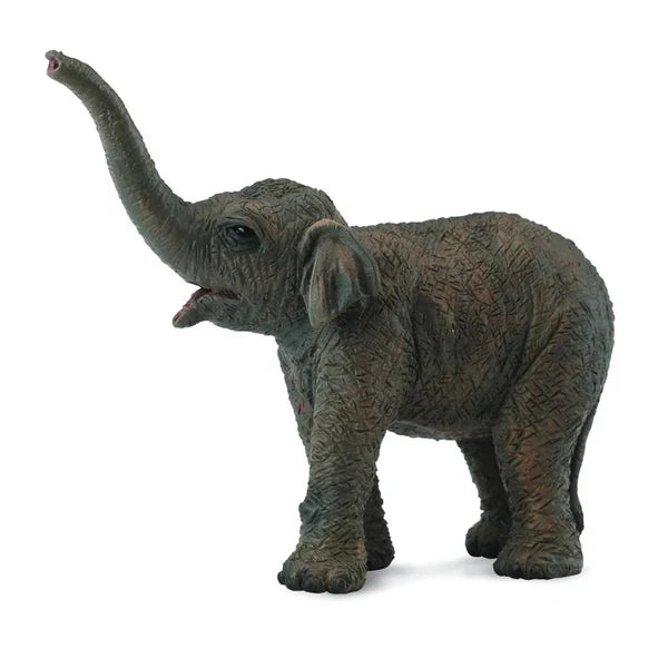 Asian Elephant Calf figurine collectA