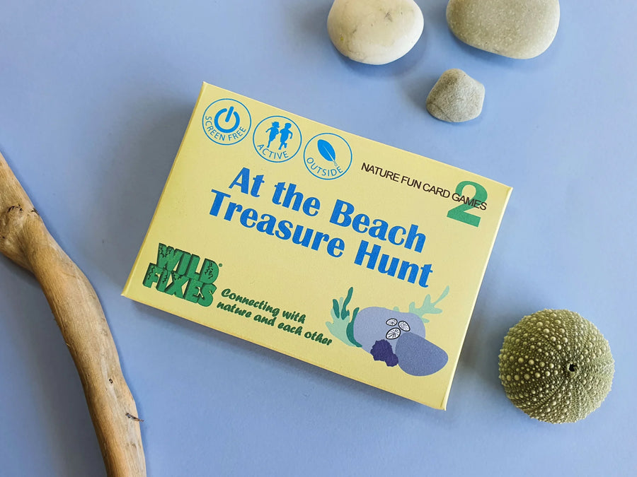 At the Beach Treasure Hunt Card Game