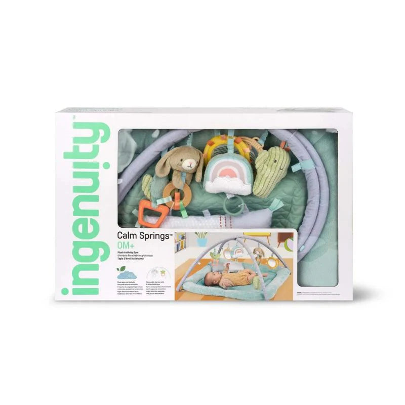 Baby Playmat Ingenuity Calm Springs Plush Activity Gym