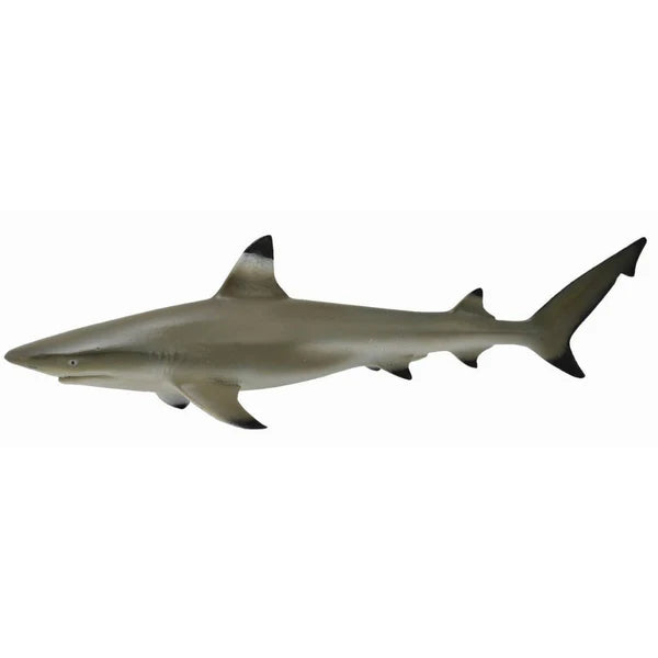 Blacktip Reef Shark Collecta figurine