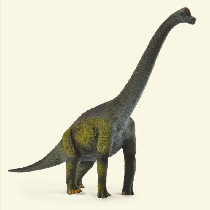  Brachiosaurus Dinosaur model on a beige background