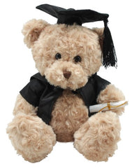 Brainy Box Graduation Bear