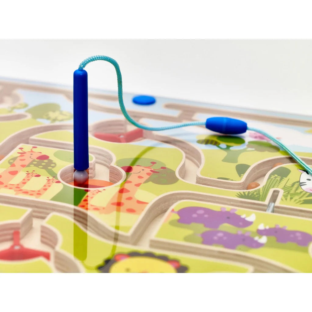 Zoo Magnetic Bead Maze