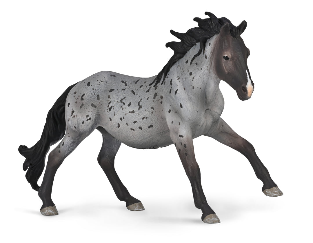CollectA Nokota Stallion Blue Roan