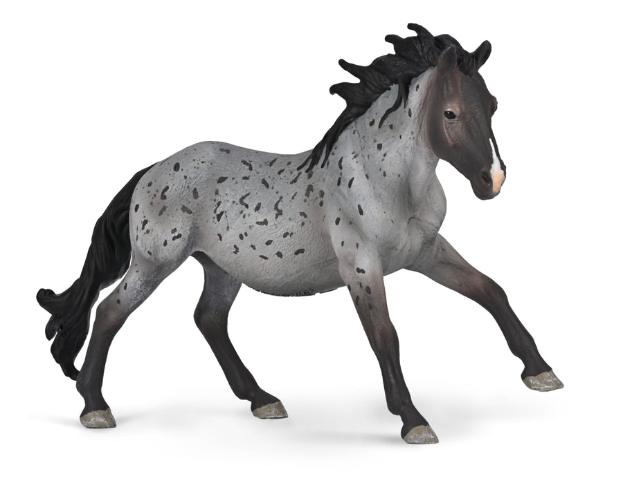 CollectA Nokota Stallion Blue Roan
