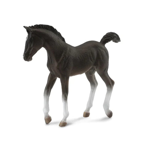 Tennessee Walking Foal Figurine Black