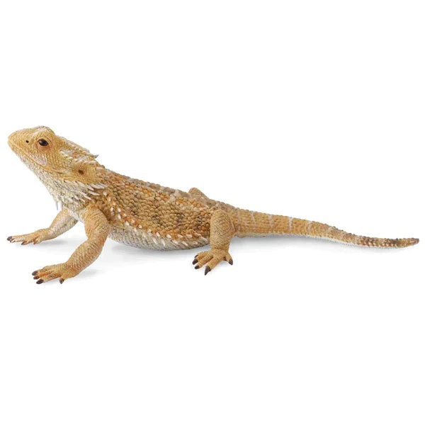 Collecta Bearded Dragon figurine