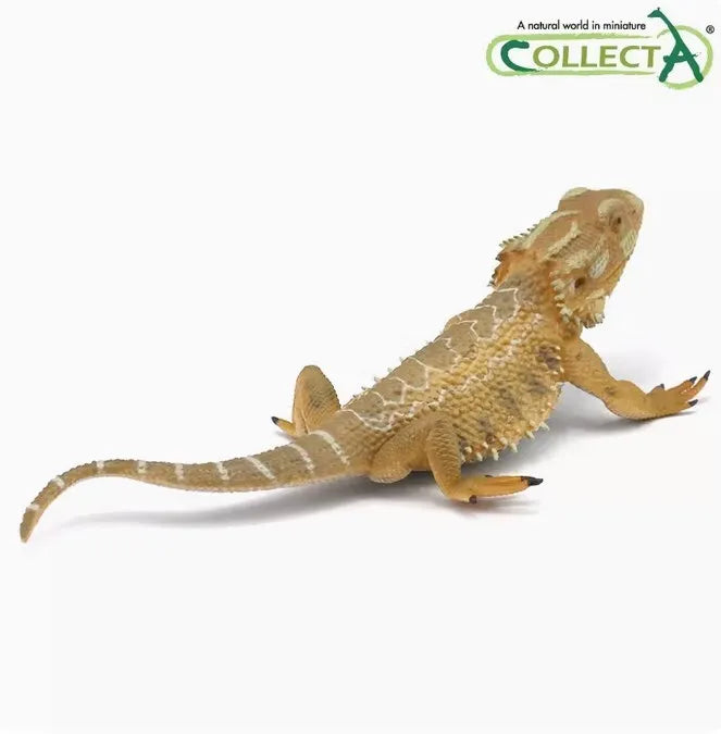 Collecta Bearded Dragon figurine