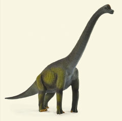 Collecta Brachiosaurus Figurine