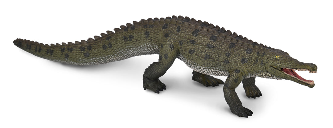 Collecta Colossosuchus techniensis