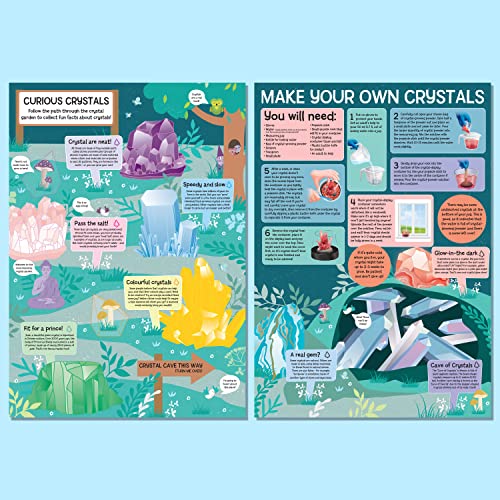 Crystal Growing Kit Curious Universe