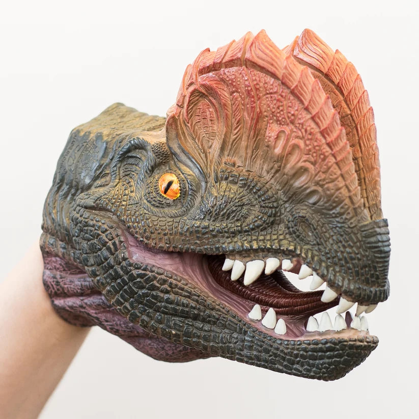 A realistic dinosaur hand puppet head  being worn on a person's hand, with textured scales, a large orange crest, and an open mouth showing white teeth, against a plain light background.