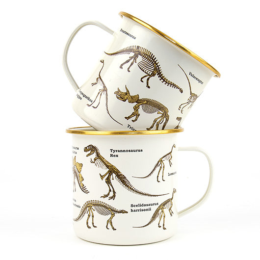 Dinosaurs Enamel Mug