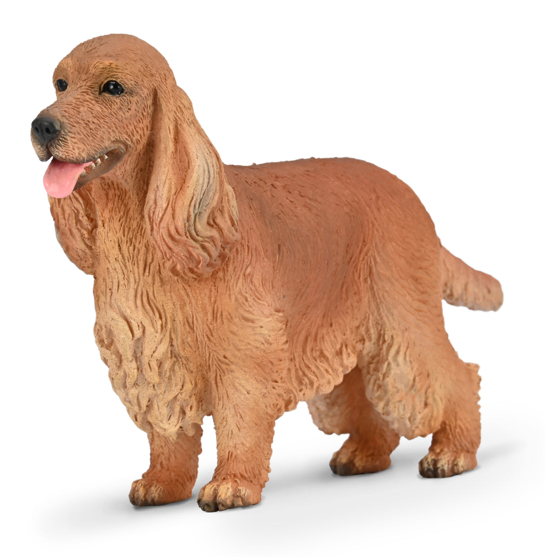 CollectA English Cocker Spaniel