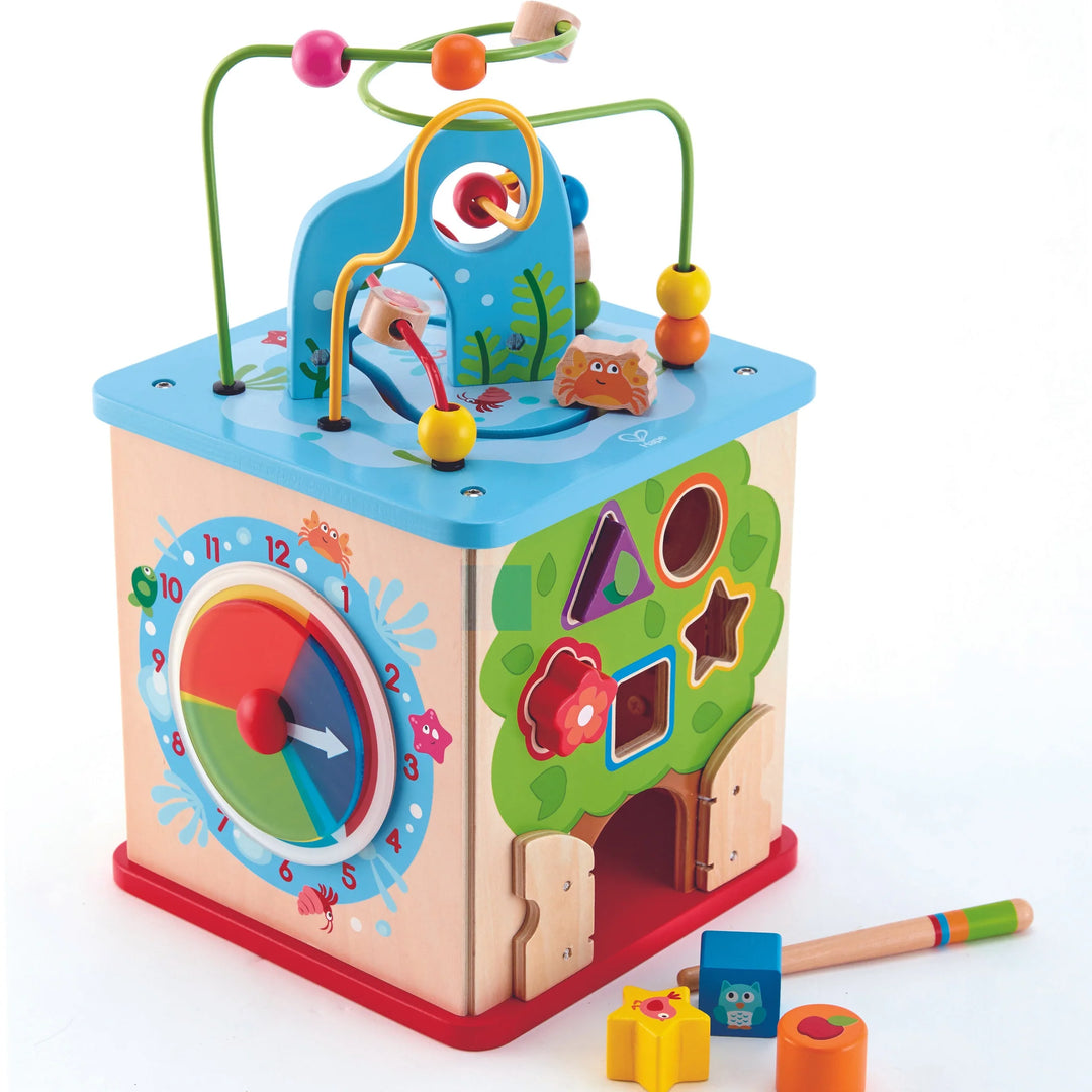 Hape Nature Exploration Play Cube