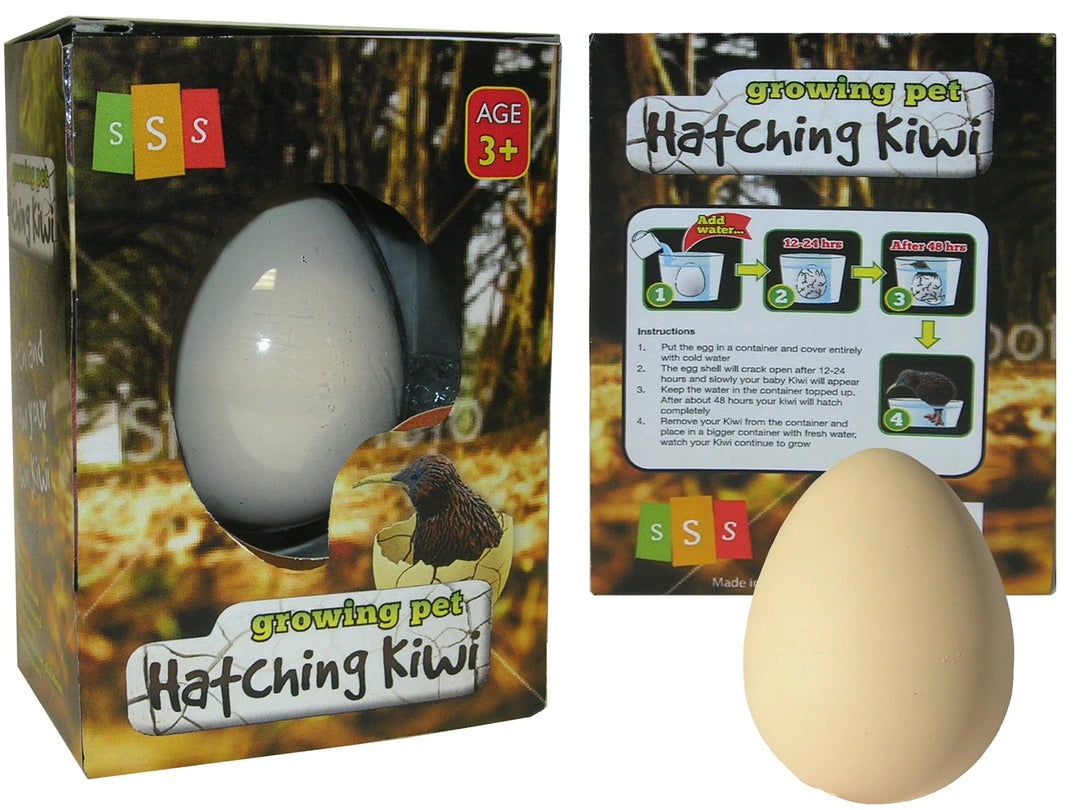 Hatching Kiwi egg product with packaging and kiwi egg on a dark background