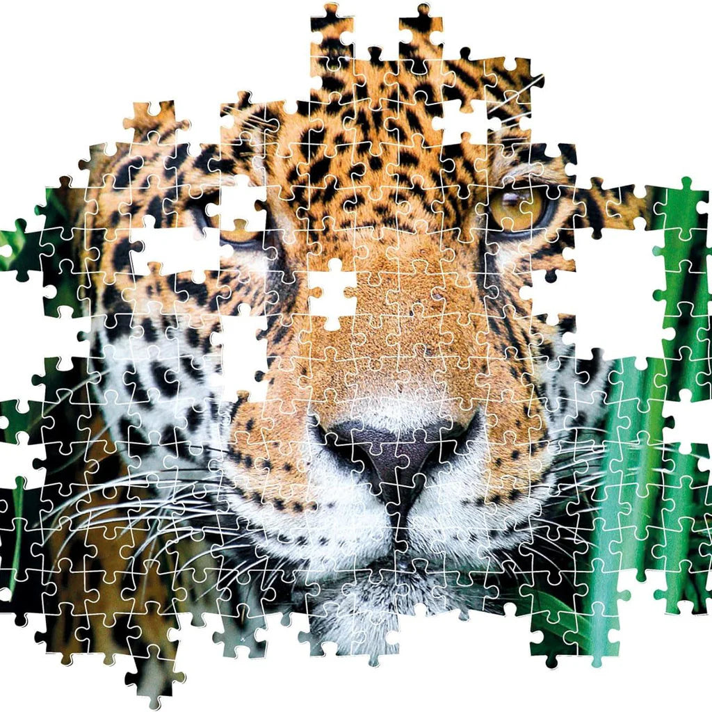 Jaguar In The Jungle 500 Piece Puzzle