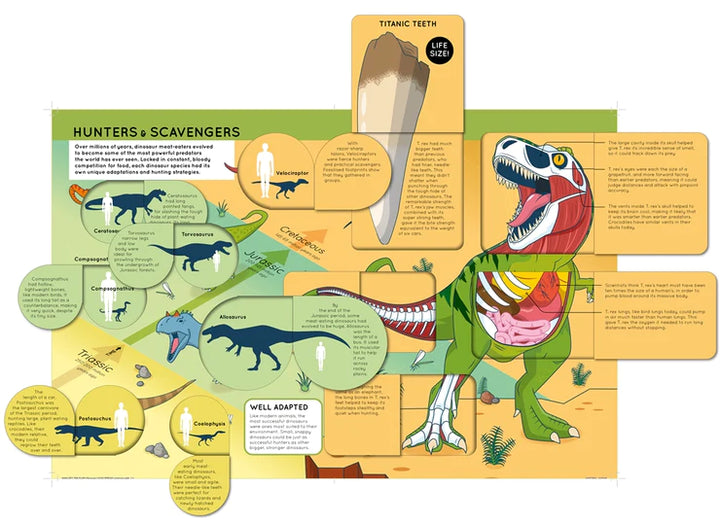 Lift The Flap Dinosaurs book