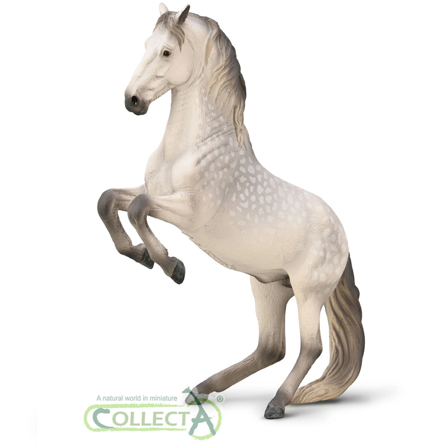CollectA Lipizzaner Stallion Dapple grey