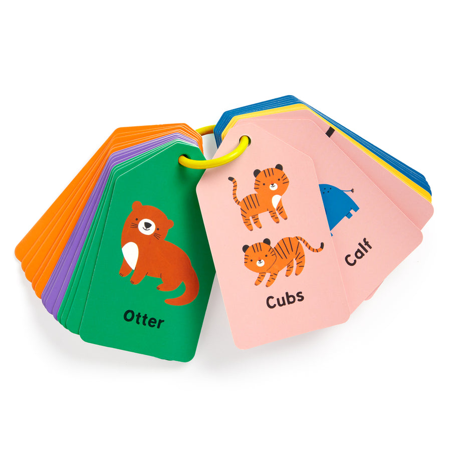 Baby Animal Flash Cards