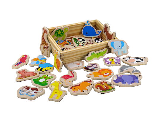 Magnetic Animals in box