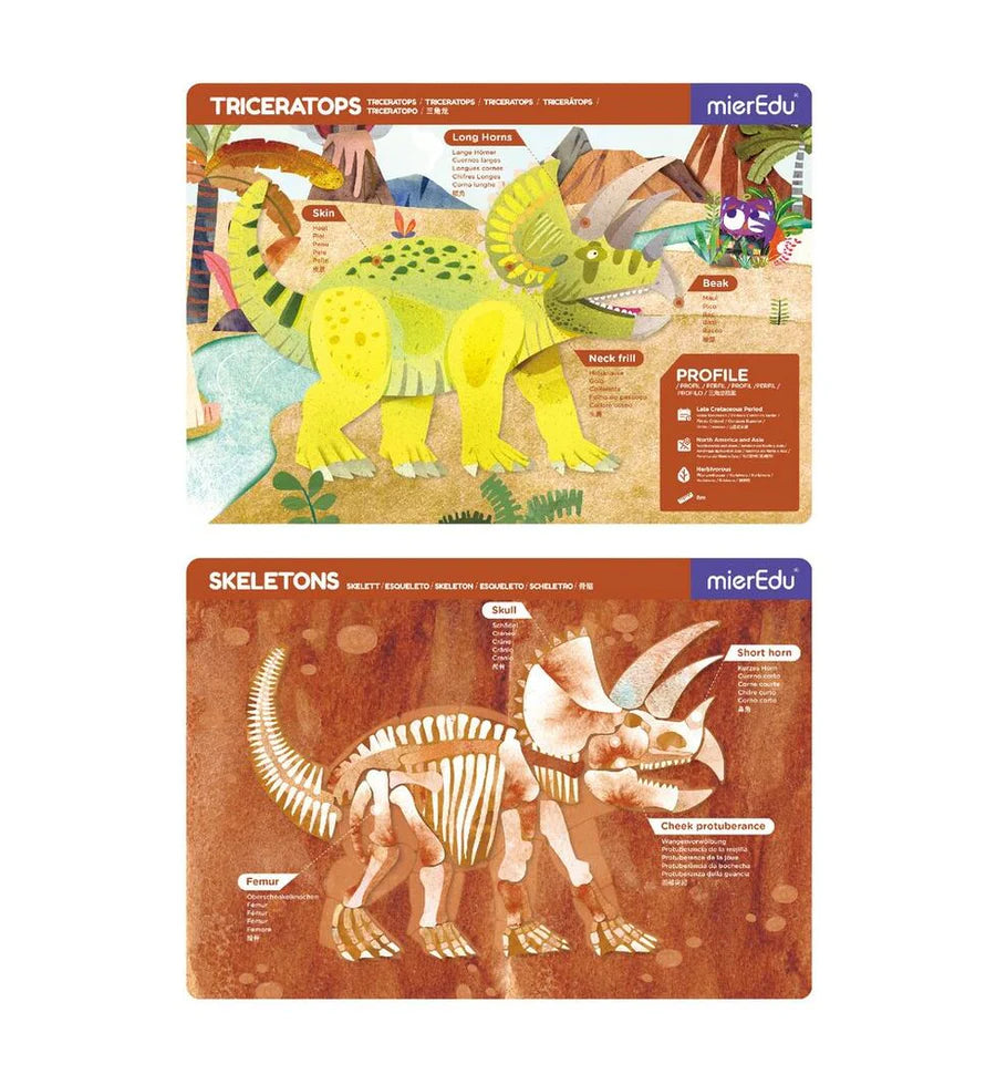 Magnetic Pad Triceratops - MierEdu