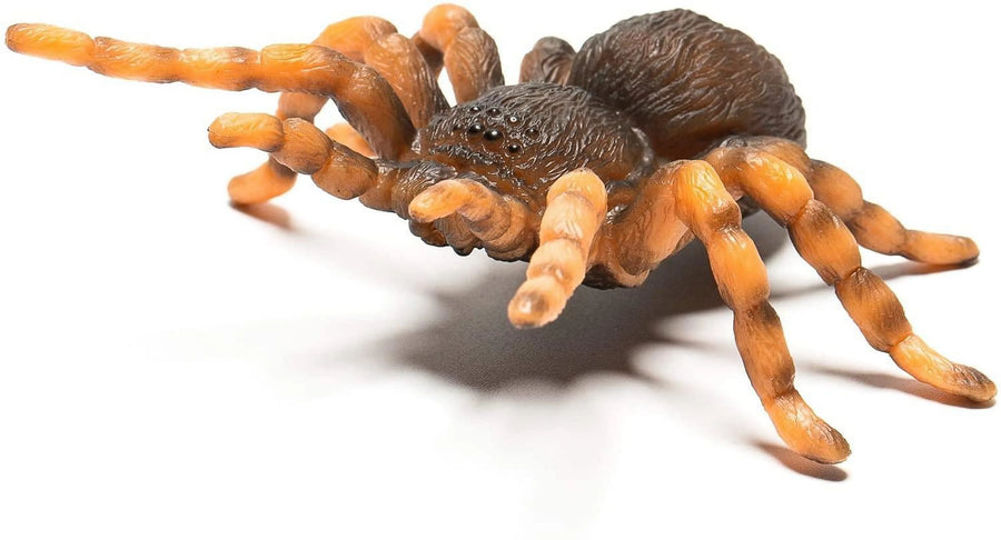 Mexican Red Kneed Tarantula figurine