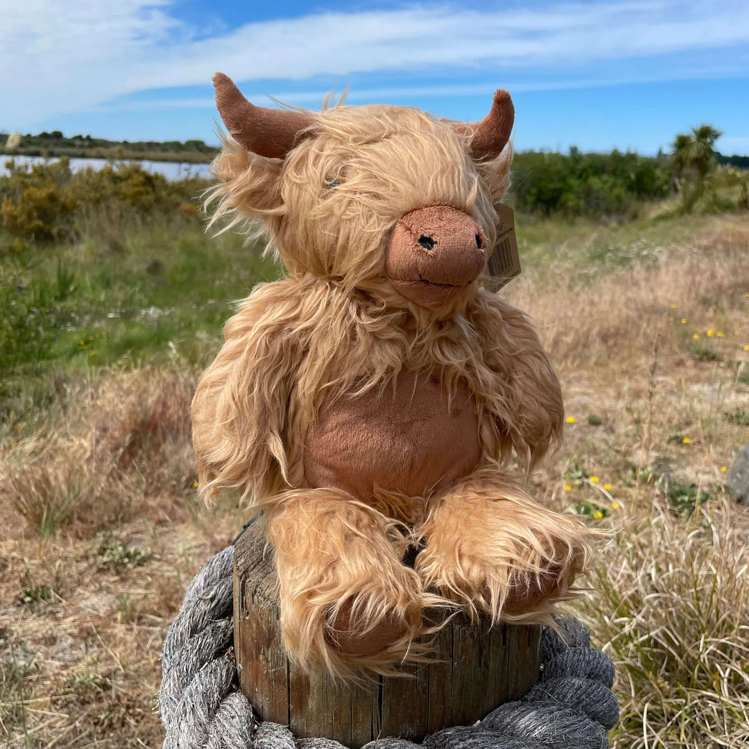 Hamish The Highland Cow - Moana Road