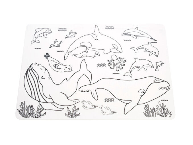 Moana Rd Colour-In Placemats Animals of Aotearoa