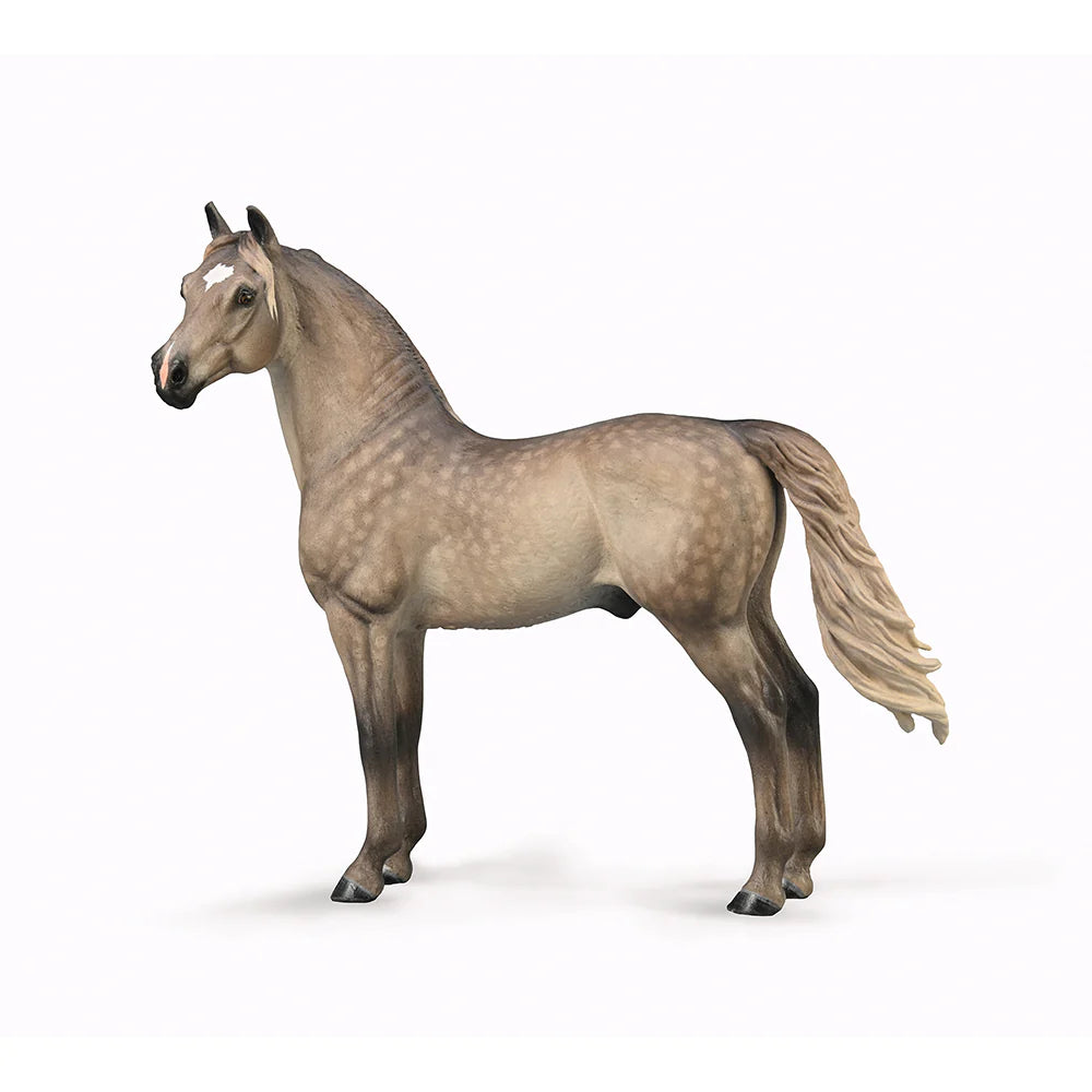 Morgan Stallion - Silver Grulla figurine