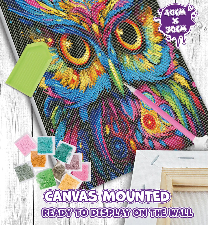 Owl Diamond Art Kit splash planet