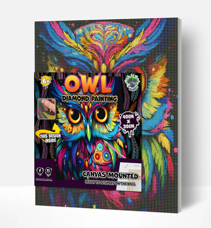 Owl Diamond Art Kit