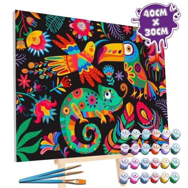 Paint By Number Kit Fiesta festival - Splash Planet