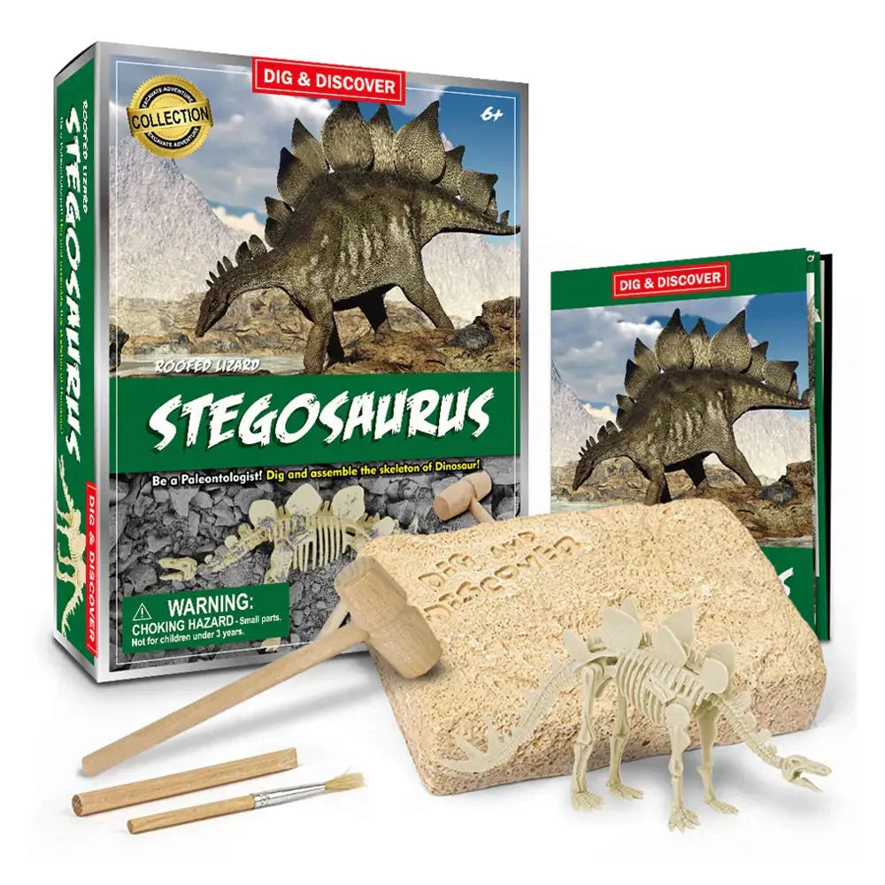 Stegosaurus dinosaur excavation kit with packaging and skeleton pieces on a white background by piano potato