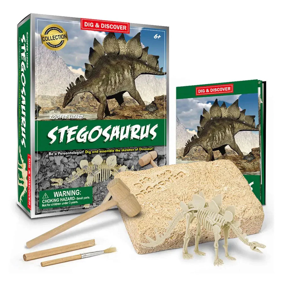 Stegosaurus dinosaur excavation kit with packaging and skeleton pieces on a white background by piano potato
