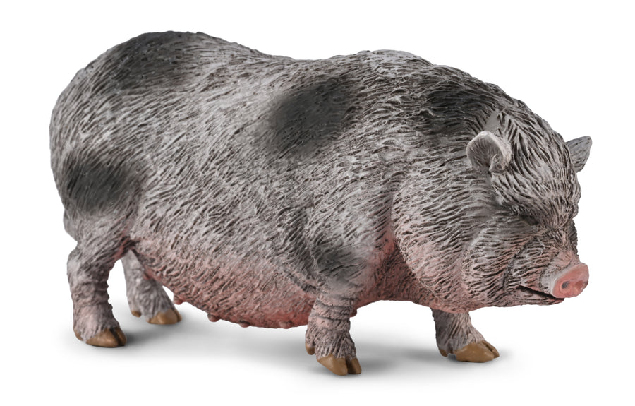 CollectA Pot-bellied Pig