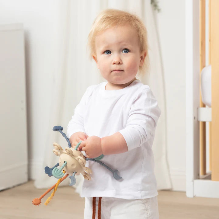 Pull string Interactive Toy - Playground