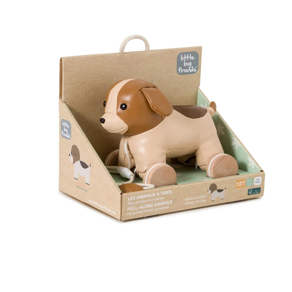 Pull Along Animals Adrien the Dog - Little Big Friends